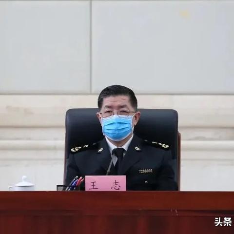 台海关新闻聚焦，深化两岸交流，助力贸易繁荣新篇章开启