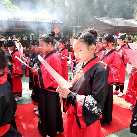 浙江本科教育深度揭秘，学子成长之路探寻——百度视角