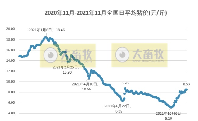 今日生猪价格走势揭秘，云南最新动态与前景深度解析