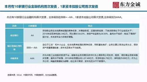 中国信用评级的崛起与面临的挑战，全球视角下的观察