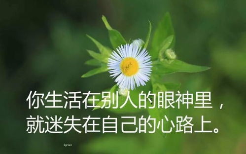 女性励志情感语录，唤醒内心力量，成就非凡自我