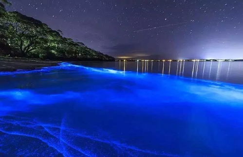 世界海洋圣地TOP榜，探寻蓝色星球的璀璨明珠