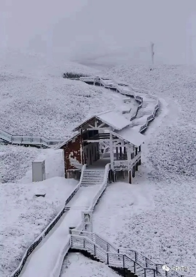 纳雍今日大雪纷飞，绝美视频带你领略雪中仙境