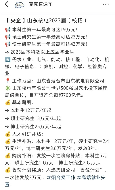 山东核电公司行业排名及地位深度解析