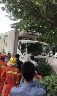 吴川车祸最新消息，悲剧引发社会警醒与深刻反思