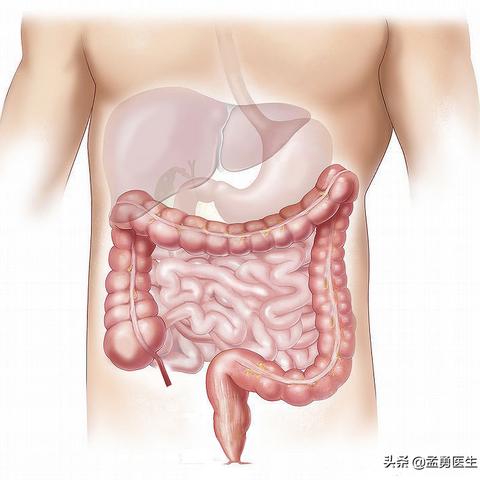 真相大揭秘，脂肪肝的成因、症状与防治策略！