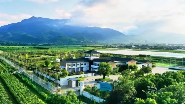 户县乡村振兴新篇章，三农新闻头条探索之旅