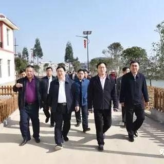 镇雄林口雪景惊艳亮相！今日最新动态与冬日美景不容错过