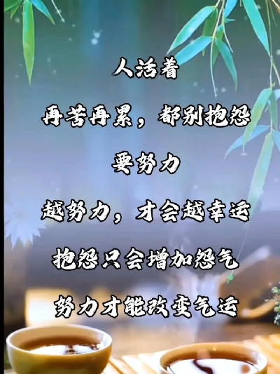励志心态语录与视频素材的启示，汲取力量，感悟人生