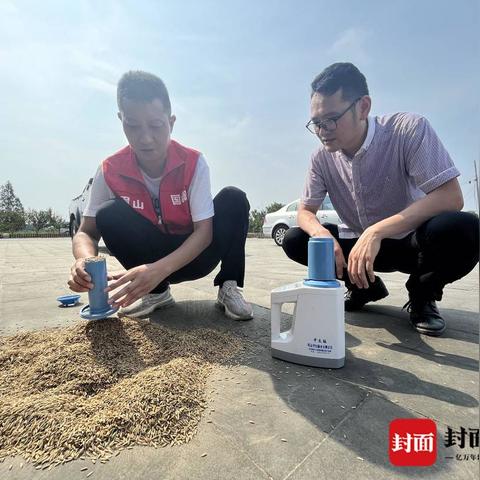 全球粮食产量大揭秘，丰收的地理与策略探索