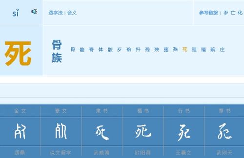 全球最新姓氏排行榜出炉，探寻最流行的姓氏及其背后的故事