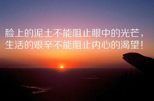 励志晨读语录，开启一天的积极能量源泉