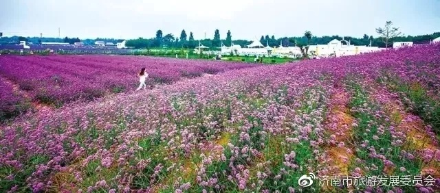 香草园探险指南，揭秘自然之美，绝佳旅游体验！