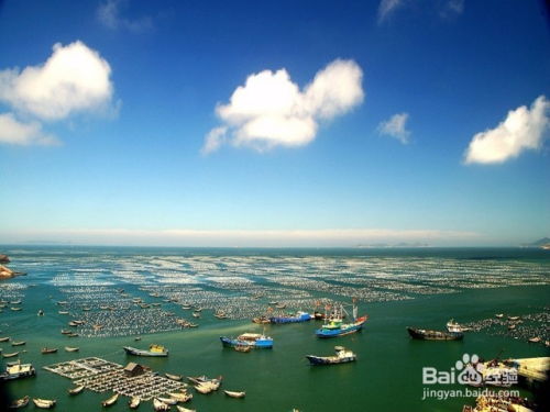 上海周边旅游攻略揭秘，魅力景点一网打尽！