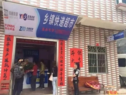 北安市宝泉镇最新新闻头条速递