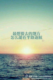 最美星空励志语录，追寻梦想，星辉闪耀之路