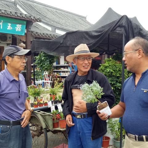乐天摆摊攻略秘籍，轻松开启创业成功之路！