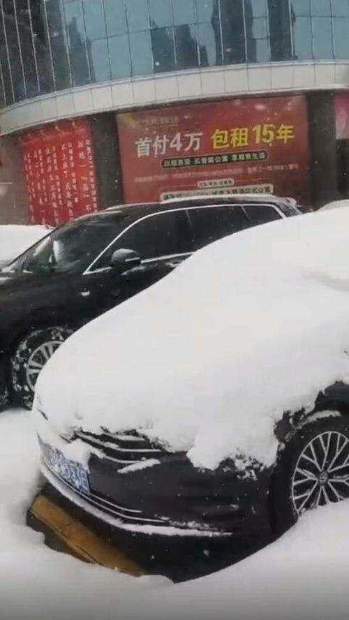 怀化积雪最新动态，今日消息与图片全览