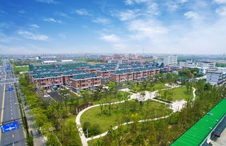 柳州鹿寨区发展活力与魅力探寻，区域新闻头条揭秘