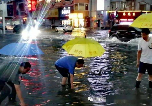 廉江今日暴雨来袭，城市如何应对暴雨天气的挑战？