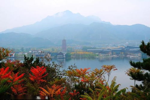岳麓山湘江绝美旅游攻略，自然人文双重魅力探访之旅