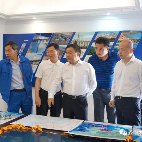 苍南县域活力涌现，最新发展动态与民生改善瞩目