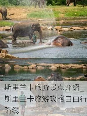跨越文化与大陆的旅行，新疆与斯里兰卡旅游攻略双飞体验