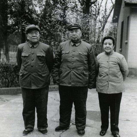 东海县网络公司排名大揭秘，探寻区域科技发展的领头羊！