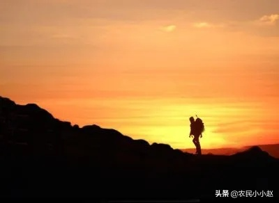 破产姐弟逆境中的希望与勇气，励志语录激励人心