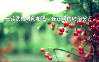 励志樱桃语录，激发潜能的樱桃智慧宝库