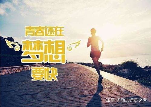 励志鸡汤语录，心灵驿站，温暖每一刻的旅程