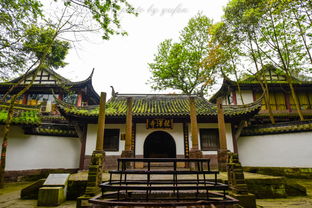向阳寺游玩秘籍，最新探索指南来啦！
