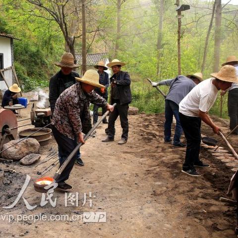 康县铜钱王湾村开启崭新篇章