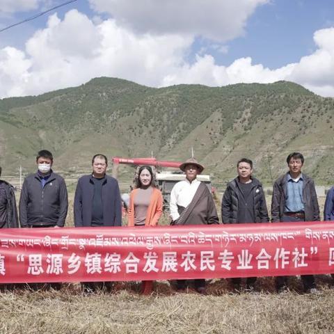 青稞最新价格走势揭秘，市场动态与未来趋势分析