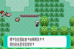 Pokemmo丰源攻略大全，最新指南助你轻松探索！