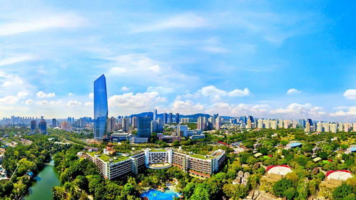 深圳龙湾国庆出游指南，揭秘城市新秘境之旅