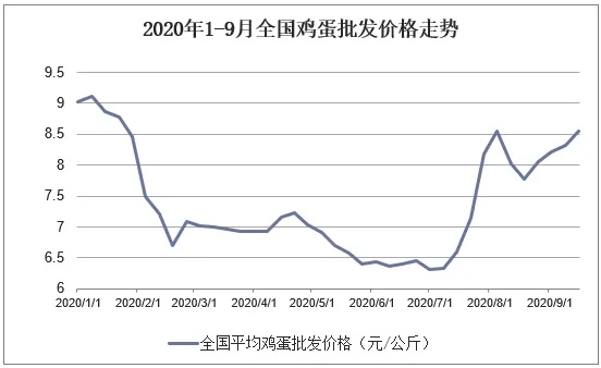 最新鸡皮蛋价格行情及市场走势深度解析