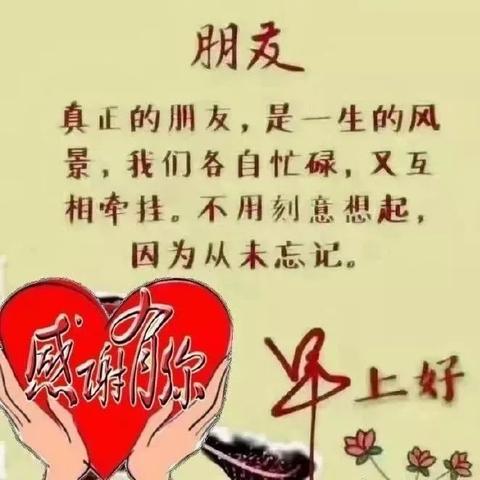 励志早安语录与蚂蚁启示的力量，图片展现的励志力量