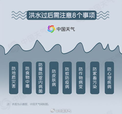 嫩江今日大事新闻速递，最新消息综述一网打尽