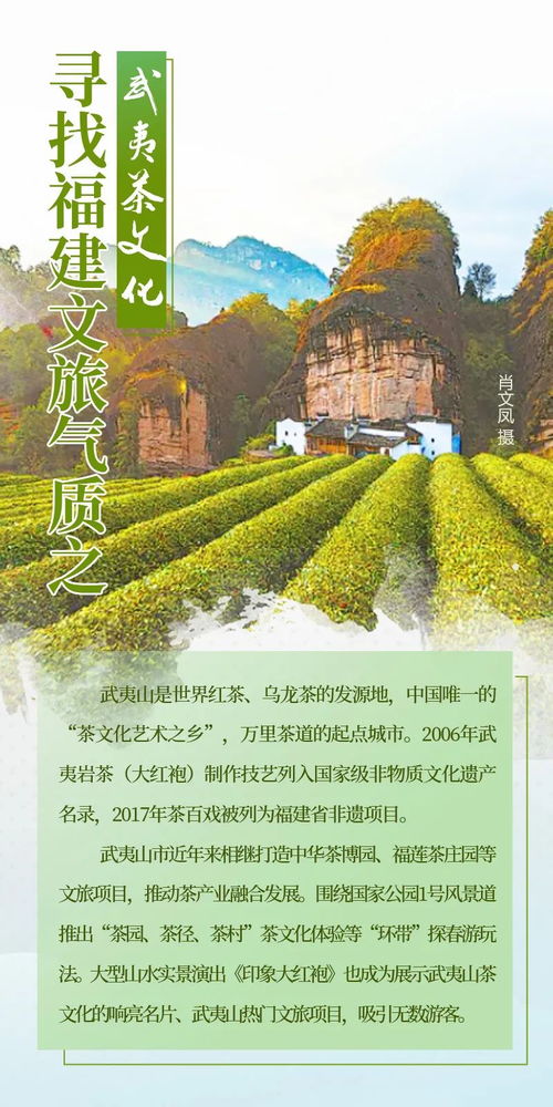 西雅图郊外探秘，自然与人文的绝佳融合之旅