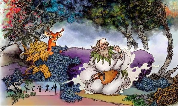 绝世神农医仙，医术与自然和谐共生的奥秘探寻