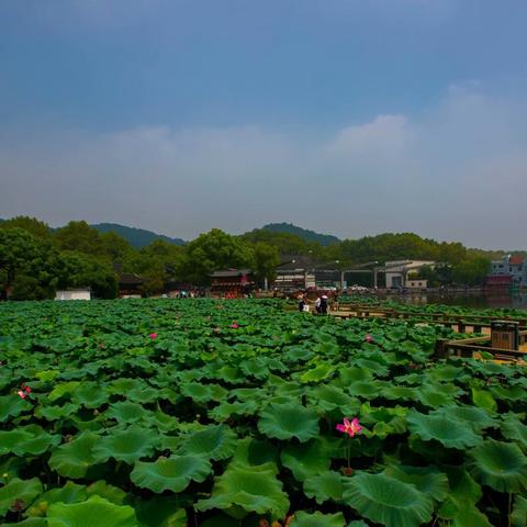 浙江一周游攻略，探索天堂美景的完美行程