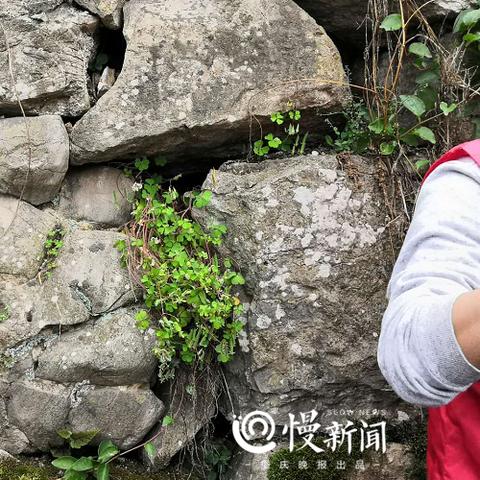 合川新闻聚焦，城市发展与变迁头条报道 2019年度回顾