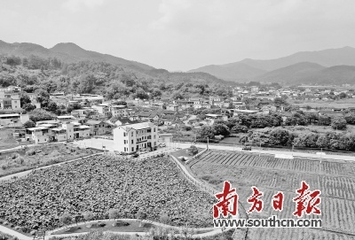 石陂寨最新动态与未来蓝图揭秘，地方新闻头条带你一探究竟