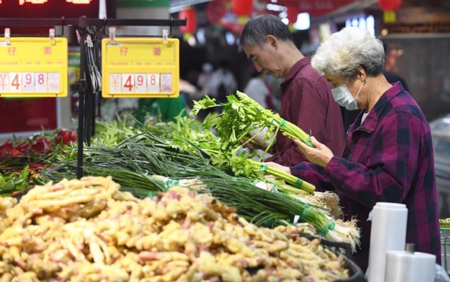 酒泉菜今日最新行情与新鲜蔬菜价格走势分析