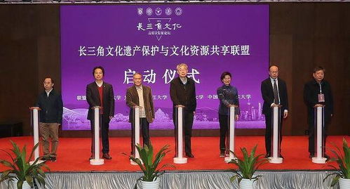 江苏巨成软件公司业界地位及影响力深度探讨