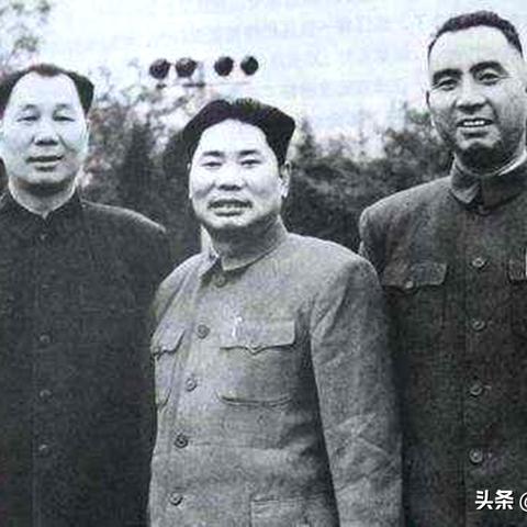 福建优化公司权威排名榜揭晓，探寻行业翘楚，助力企业腾飞发展之路