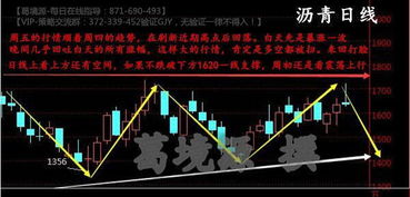 今日行情反弹深度解析，市场走势预测与应对策略