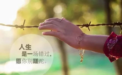励志语录视频秘籍，激发潜能，追逐梦想的终极力量