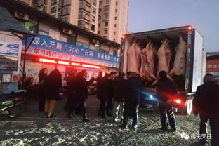 猪肉最新行情，今日价格查询与市场动态分析，保障您的生活消费选择